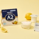 A2 이미지