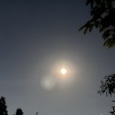 김성록동물병원 이미지