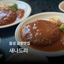 새나드리 | 금왕맛집 새나드리 금왕읍 돈가스 맛집