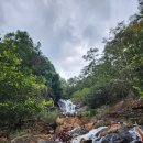 (1월 8일) 달랏 다딴라 폭포(베트남 달랏 2025년1월 8일) 이미지