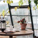 까페꽃향 이미지