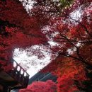 온달평강 이미지