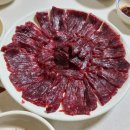 참조은고기 이미지