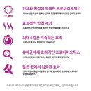 청학체육관 이미지