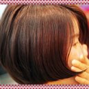 컷트랑파마랑 이미지