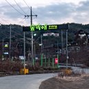 숲속애애플트리 이미지