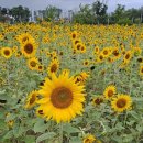 금강수변공원(대평동) 이미지