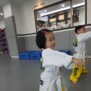 The 행복한 태권도장 이미지