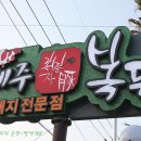 (주)제주복돈 이미지