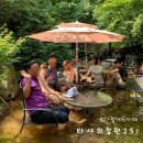 가평 계곡 카페 타샤의정원251 | 아이와 가볼 만한 곳