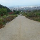 더과수원