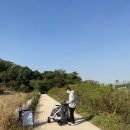 스토리펫 | [보니렌 펫11] 대형견 중형견 강아지유모차. 보통리저수지 애견동반 산책 후 고색동 힐링생고기에서...