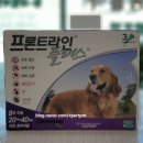 청주플러스약국 이미지
