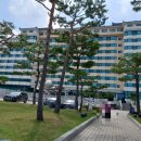 동해약천온천 | 강원도 동해 약천온천 실버타운 체험숙박 후기 부모님 실버타운
