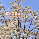 효창공원앞역 경의선숲길 입구 | 서울 경의선 숲길 효창공원앞역 공덕역 가볼 만한 곳