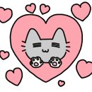 새꽃로 205 이미지