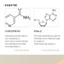 비엠비 이미지