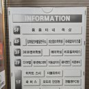 카멜레온호텔 | 청주 파충류샵 디어렙 크레스티드게코 도마뱀 전문점 용품 구매후기