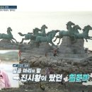 준마농장 이미지