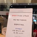 김밥제일가 - 김포시 양곡2로 30 | 청주 현대백화점 푸드코트 주말 식사 후기 한강로칼국수, 소로리, 만두제일가