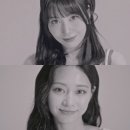 위드트레일러 이미지