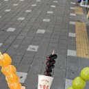 왕가탕후루펜타힐즈점 이미지