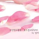 로즈플라워 이미지