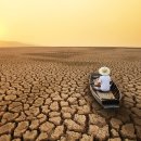 플레이션 이미지