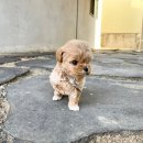 팔룡동144 이미지