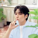 블로우핏 이미지