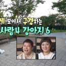 아이오다코타 이미지