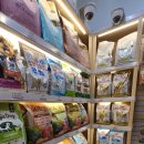 도그랑힐스 이미지