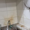 모라식당 이미지