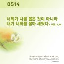 마티아