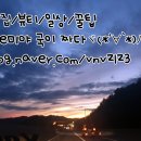 로보티머(ROBOTEEMER)