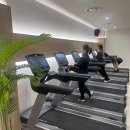 과천대로1가길 | 과천지정타 헬스장 AMG피트니스 내돈내산 한달 이용 후기