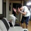 나눔약국 앞 | 홍콩 란콰이펑 클럽 바 2탄 평일 후기 (아이언 페어리, Apothecary 캐비어 칵테일 추천 및 위치)