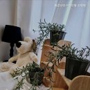 나눔바른나무스터디텔 | 신정동고시원 바른나무스터디텔 신정점 신정동에서 찾는 고시원