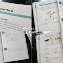 한상준학원 | [천일문 입문①] 드디어 쎄듀 &lt;천일문 입문&gt;을 시작하는 은빈양! 구문학습 시작!!~^^