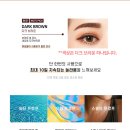 리얼브로우 Daum카페