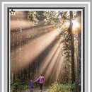 샛별아동심리발달센터 | 샛별 아동심리발달센터 운정점 방문기｜운정 아동심리상담 노하우 공유｜다녀온 후기 다시한번, 샛별...