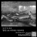 말바우우리약국 | 9월 일상비질