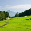 초원골프 이미지