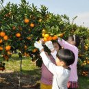 신효동-24 이미지