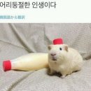평택고여사집냉면 이미지