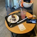 아이사랑동물병원 건강검진센터 | 봉식이 5살 건강검진 후기 /아이사랑 동물병원/강아지 건강검진/반려견 건강검진/내돈내산후기
