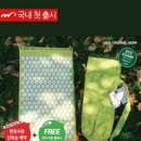 S-FIT 휘트니스 이미지