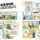 멍멍스푼 Daum카페