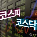 코스피 '불장'이라는데…개인 54%는 평균 931만원 손실 중 이미지