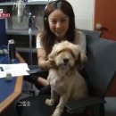 무지개농장2 이미지